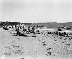 Exercise Tiger file photo [28661]