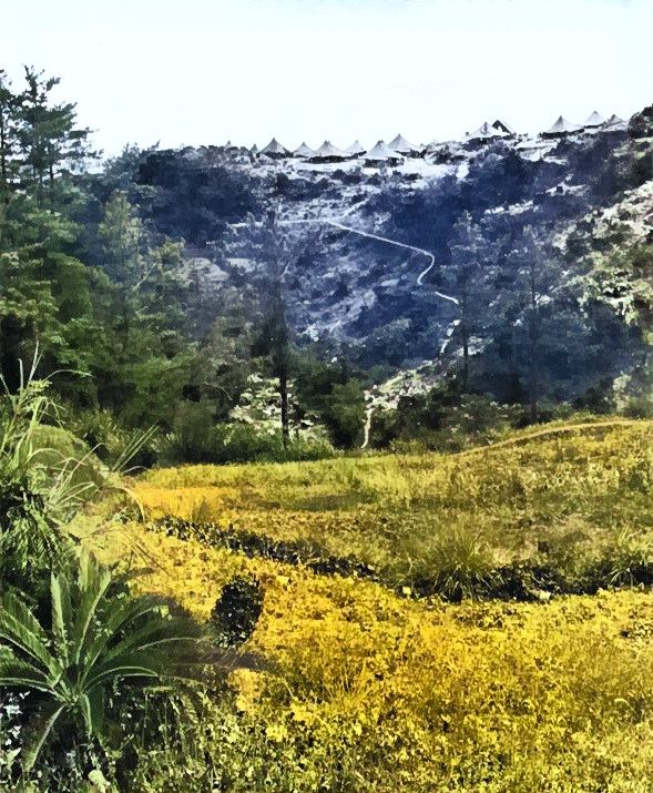 Kakazu Gorge, Okinawa, Japan, photo taken after the Okinawa Campaign [Colorized by WW2DB]