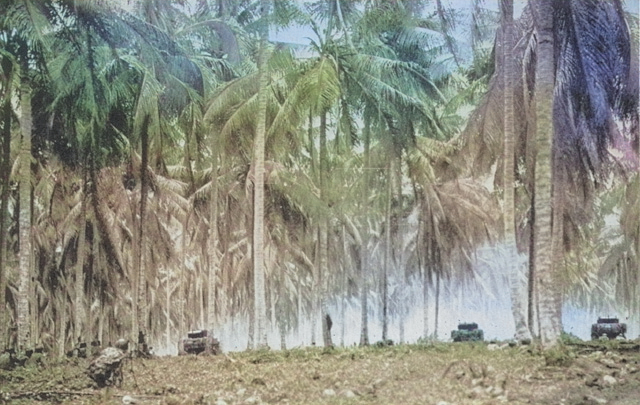 Tanks of Company B, US Marine Corps 1st Tank Battalion at Arawe, New Britain, Bismarck Archipelago, Dec 1943 [Colorized by WW2DB]