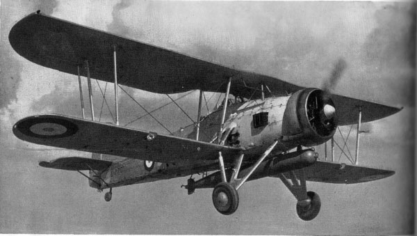 Swordfish aircraft in flight, circa 1930s