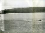 Japanese Type C Escort checks for survivors from cruiser Kashii that sank moments before off the coast of French Indochina (Vietnam) north of Qui Nhon, Jan 12, 1945. Photo 9 of 9