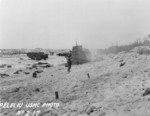 LVTs on Peleliu, Palau Islands, 1944