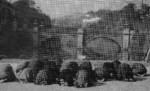 Japanese civilians outside the Imperial Palace near the Nijubashi bridge, Tokyo, Japan, 15 Aug 1945, photo 1 of 2