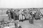 Jews being rounded up outside Lubny, Ukraine, 16 Oct 1941