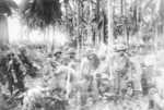 US Marines in New Georgia, 1943