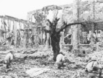 US Marines surveying a suspected Japanese position, Shuri, Okinawa, Japan, May 1945