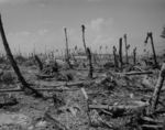 View of Kwajalein, Marshall Islands, 1944