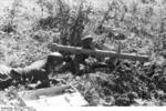 German Panzerschreck crew, northern Russia, Aug-Sep 1944, photo 3 of 5