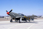 Restored A-36A Mustang aircraft 