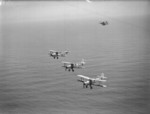 Albacore aircraft of No. 820 Squadron FAA in flight, 1940s