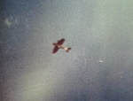 D3A1 carrier dive bomber in flight over Sand Island, Midway Atoll, 4 Jun 1942