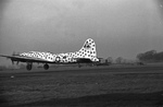 B-17F Flying Fortress aircraft 