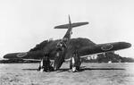 J1N1-F aircraft shortly after a landing accident, 1940s; note spherical turret that identified the variant design