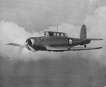 British Skua aircraft in flight, circa 1940s