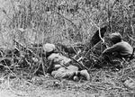 Sikh troops of Indian 7th Division fighting at the Ngakyeduak Pass near Sinzweya, Burma, 6 Feb 1944