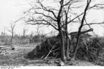 Camouflaged German SdKfz 124 Wespe self-propelled gun near Nettuno, Italy, Mar 1944, photo 1 of 2