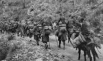 Greek troops near Këlcyrë, Albania, circa Jan 1941