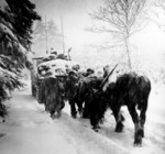 Troops of US 82nd Airborne Division marching behind M4 Sherman tank in a snowstorm toward German occupied town of Herresbach, Belgium, 28 Jan 1945