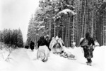 Troops of US 82nd Airborne Division marching, near Herresbach, Belgium, 28 Jan 1945; note heavily loaded ammunition sled