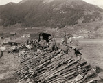 German soldiers surrendering their rifles, near Landeck, Austria, 6 May 1945