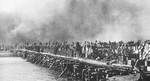 Supplies unloading at Red 2 Beach, Betio, Tarawa Atoll, 21 Nov 1943