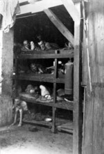 Crowded medical quarantine area, Buchenwald Concentration Camp, Weimar, Germany, 16 Apr 1945