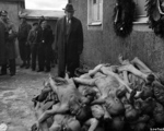 US Senator Alben Barkley visiting Buchenwald Concentration Camp, Weimar, Germany, 24 Apr 1945