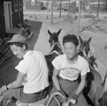 Mule wagon at Jerome War Relocation Center, Arkansas, United States, 18 Nov 1942, photo 6 of 6