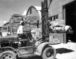 US Navy Seamen 1st Class M. D. Shore operating a forklift truck at a Navy supply depot at Guam, Mariana Islands, 8 Jun 1945