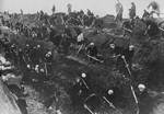 Moscow residents digging anti-tank ditches outside the city, Russia, 1941