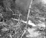 Flamethrower in action, Peleliu, Palau Islands, Sep 1944