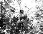 Men of Company K, 3rd Battalion, US 27th Infantry Regiment along the Zieta Trail, New Georgia, Solomon Islands, 12 Aug 1943