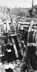 Japanese Type 91 40mm anti-aircraft gun at Munda Point, New Georgia, Solomon Islands, Aug 1943