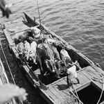 Japanese Daihatsu-class landing craft being used to transport cattle by Javanese, 28 Nov 1948