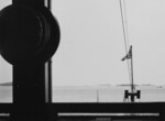 Japanese warships seen from a British ship (Ryujo (nearest), Kaga (background center), identified carrier (obscured by Ryujo), a Nachi-class cruiser (background right), and a Kongo-class battleship (obscured by Nachi-class cruiser)), probably in a Chinese harbor, late 1930s