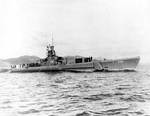 Sawfish off Hunters Point near San Francisco, California, United States, circa late 1943