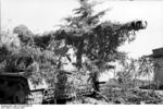 Camouflaged German Army Hornisse/Nashorn tank destroyer, Italy, Feb 1944, photo 2 of 3