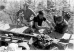 German tank crew and a Luftwaffe sergeant next to a Tiger I heavy tank, Russia, 1942