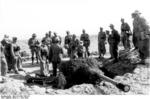 Camouflaged German 7.5 cm PaK 40 anti-tank gun position, North Africa, 1941