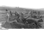 German FlaK 38 anti-aircraft gun in Tunisia, early 1943, photo 2 of 2