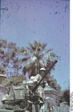 German 2 cm FlaK 38 gun at Sicily, Italy, circa Jul 1943, photo 1 of 2