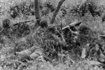 Partially camouflaged Chinese Type 24 machine gun position, China, circa 1940s, photo 1 of 2