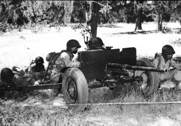 Anti-tank company of 1st Filipino Infantry Regiment in exercise with 37 mm Gun M3, 1943, photo 4 of 5