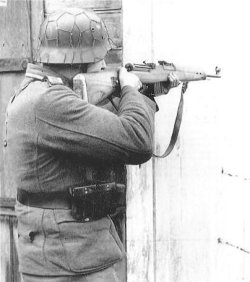 Gewehr 43 file photo [5921]