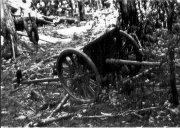 Abandoned Japanese Type 94 37mm anti-tank gun, Guadalcanal, Solomon Islands, Nov 1942